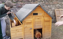 Moltifao voit fleurir un jardin partagé grâce à ses collégiens 