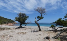 La photo du jour : La plage de Porto-Novo de Porto-Vecchio