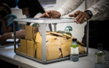 Législatives 2024 en Haute-Corse : 52,67% de participation à 17h, en nette hausse par rapport à 2022