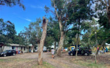 Début de vacances d'été : une activité en légère baisse pour les camping de l'ile