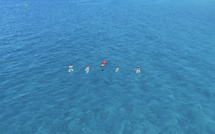 Sous l'eau turquoise de Corse, la bataille de Mare Vivu contre les microplastiques