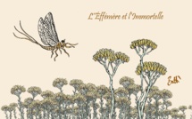 Le dessin de Battì : la presse, l'éphémère et l'immortelle