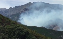 Violent incendie à Venaco : 85 hectares de maquis, pins et forêt détruits