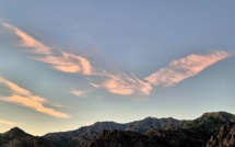 La photo du jour : Le grand oiseau sopr'à Monte Astu, comme un signe de paix
