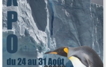 "En territoire du manchot royal" : Exposition du 24 au 31 Août à Locu Teatrale