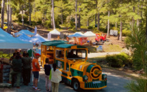 Vezzani : Le succès ne se dément pas pour A Festa di u Legnu