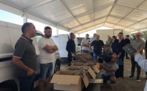 Lancement d’un marché d’intérêt national en Corse : une bonne nouvelle pour… le consommateur