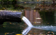 236 cas de gastroentérite sur le GR 20 : un virus "fortement suspecté"