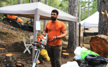 Pietralba : Georges Calassa, de l'électromécanique à l'exploitation forestière...une passion pour le bois