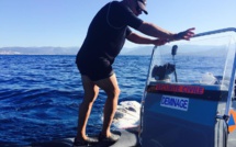 Pietrosella : Le baleineau a été coulé, le principe d’interdiction de baignade demeure