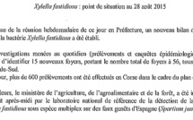 Xylella Fastidiosa : 56 foyers récensés en un mois...