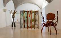 FRAC Corsica : Trois ans d'innovation sous l'égide de Fabien Danesi