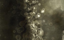 Patrimoniu : Jean‐Paul Marcheschi jusqu'au 29 Septembre au domaine Orenga