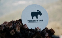 Pari(s) sur la Corse : Nouveaux projets pour une deuxième année encore plus proche des entrepreneurs insulaires