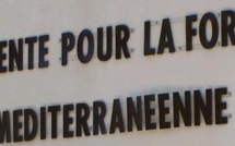 Charles Voglimacci élu vice-président l'Entente pour la forêt méditerranéenne