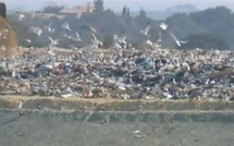 Après Vico, Prunell-di-Fium'Orbu bloqué à son tour : Gardez vos déchets