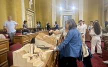 Le futur visage de Marana-Golo imaginé par les étudiants de l'ENSA Nantes