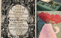 Arte Mare à Bastia : Trois expositions pour célébrer la créativité méditerranéenne