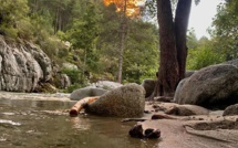 La photo du jour : merveilleuse Restonica