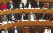 Les réactions dissonantes des élus nationalistes