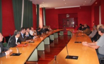 Xylella Fastidiosa : Pépiniéristes et paysagistes en colère demandent à pouvoir travailler