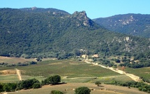 Bastia : La bibliothèque d’étude et de recherche Tommaso Prelà organise son 4e séminaire médiéval