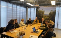 Un "plan châtaigne" pour booster la filière en Corse