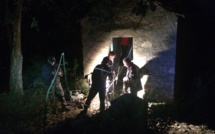 Cervioni : Les pompiers sauvent un taurillon tombé dans un pressoir abandonné 