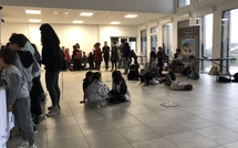 U Viscuvatu : le Salon de l’agriculture corse ouvre ses portes pour une nouvelle édition