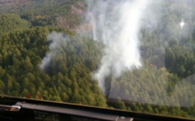 Incendie dans la forêt de Palneca