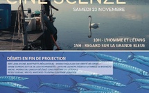 Bastia : A Casa di e Scenze célèbre la biodiversité corse avec "Corsica Salvatica"