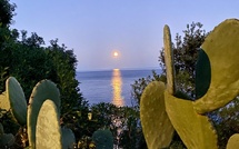 La photo du jour : Lever de lune à Fautea