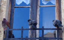 L'image du jour à Calvi