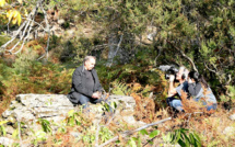 « Reportages » en Corse : TF1 filme l'arbre à pain à Pianellu