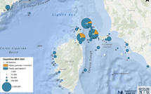 La Méditerranée étouffe sous les microplastiques : des niveaux records au nord de la Corse 