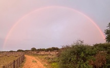 La photo du jour : arc-en-ciel balanin