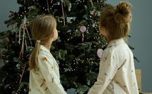 Noël : Quels sont les jouets qui font rêver les enfants corses cette année ?