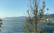 La météo du jour en Corse