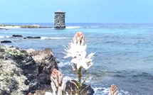 La météo du jour en Corse