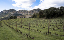 24 000 euros accordés à 35 entreprises corses pour les aider à s’ouvrir à de nouveaux marchés étrangers