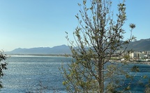 La météo du jour en Corse