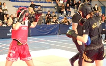 Boxe : Un sommet régional de K1 de bonne facture