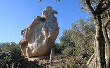 La photo du jour : l'aigle du sentier des crêtes à Ajaccio