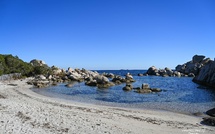 La photo du jour : avant-goût de printemps à Portivechju