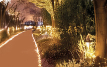 Quels sont les projets lauréats du Budget Participatif 2024 à Bastia ?