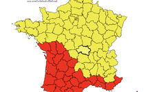 Allergies aux pollens : la Corse en alerte rouge dès ce dimanche