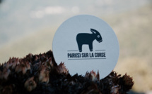 Pari(s) sur la Corse organise sa première soirée bastiaise