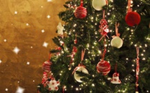 Natale in Lumiu : L’arbre de vie, l’arbre de paix