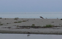La météo du jour en Corse