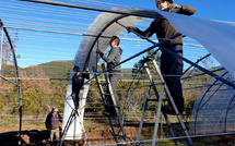 De La Boudeuse à Altiani : Bruno Tomasi, un parcours entre exploration et agriculture durable